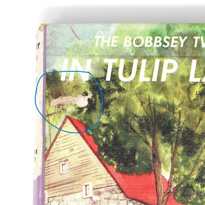 Children's Book, The Bobbsey Twins in Tulip Land, Hardcover, Vintage 1949