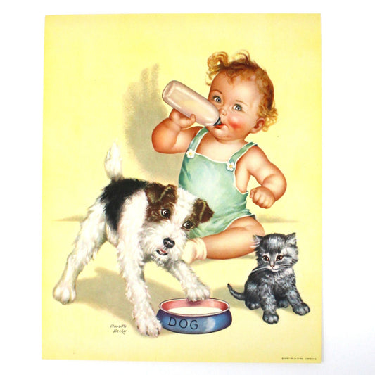 Print, Lithograph, Charlotte Becker, Baby with Terrier Dog and Kitten, Vintage, 1940's