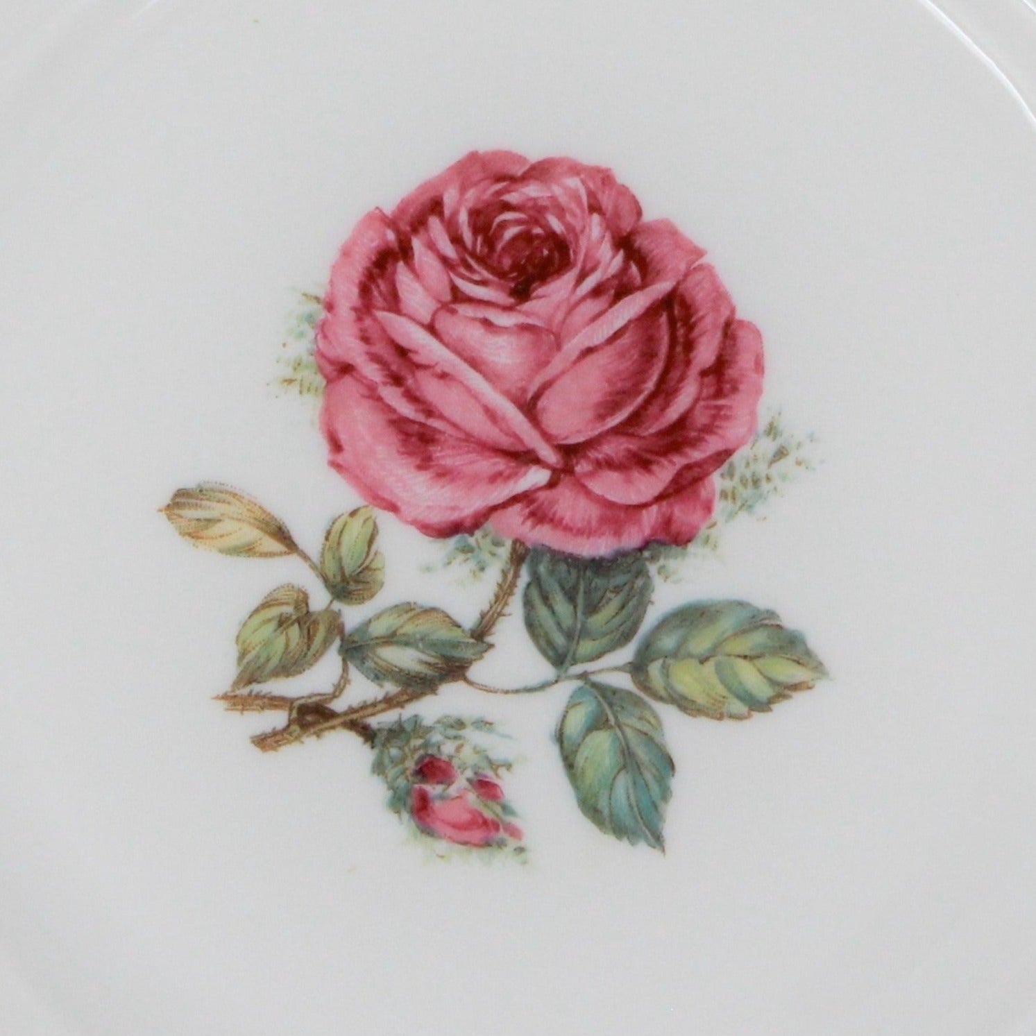 Vintage rose cheap dishes