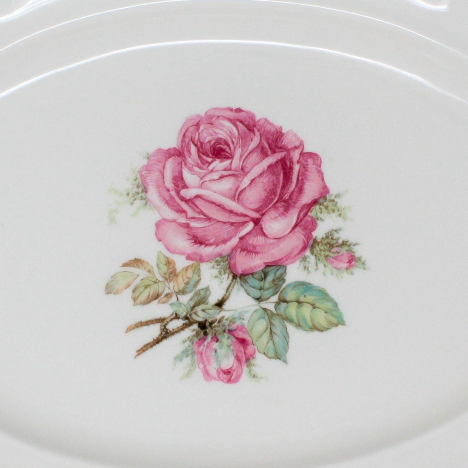 Vintage set of 6 hutschenreuther the Dundee rose offers china