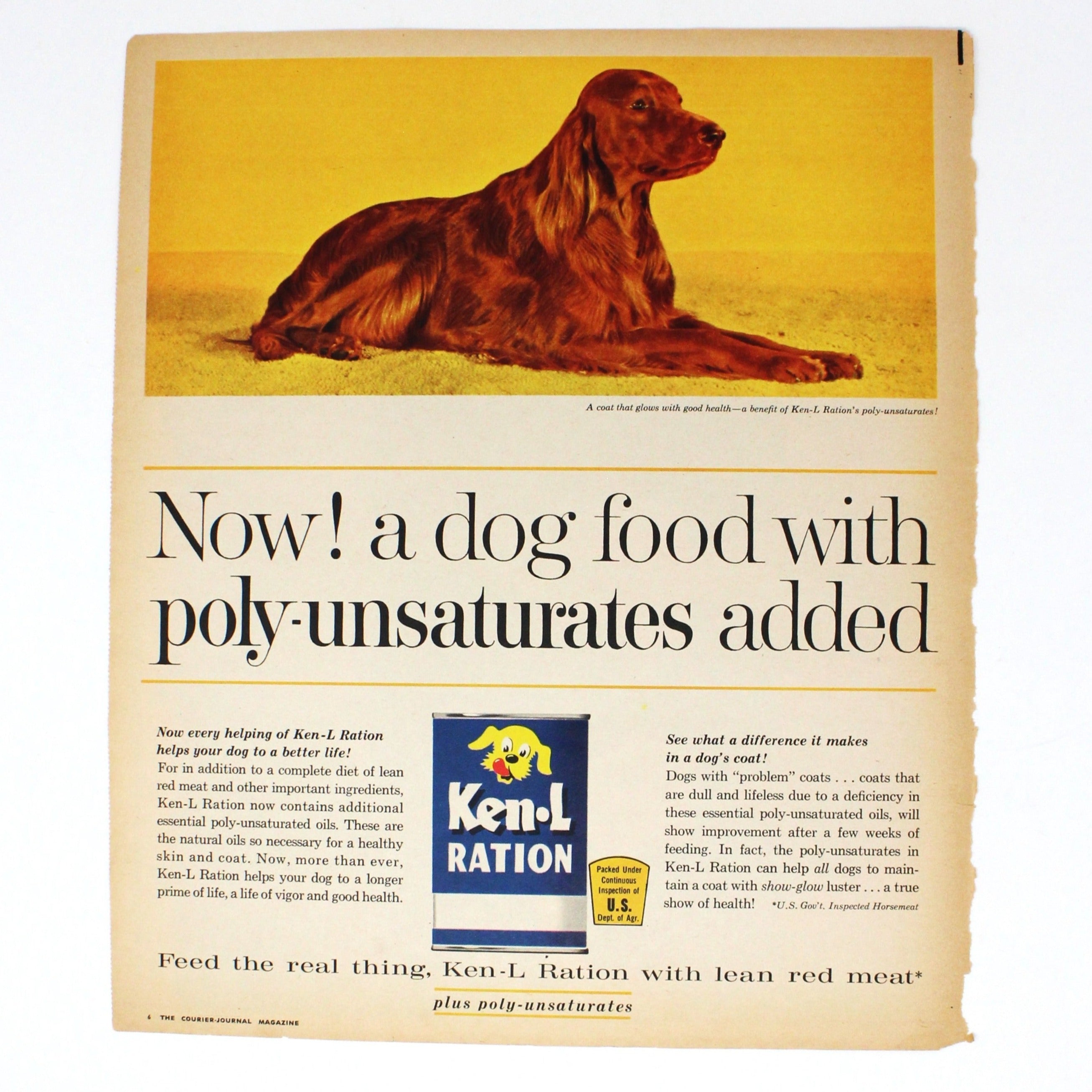 Advertisement Ken L Ration Dog Food Irish Setter Original 1962 Magazine Ad Vintage