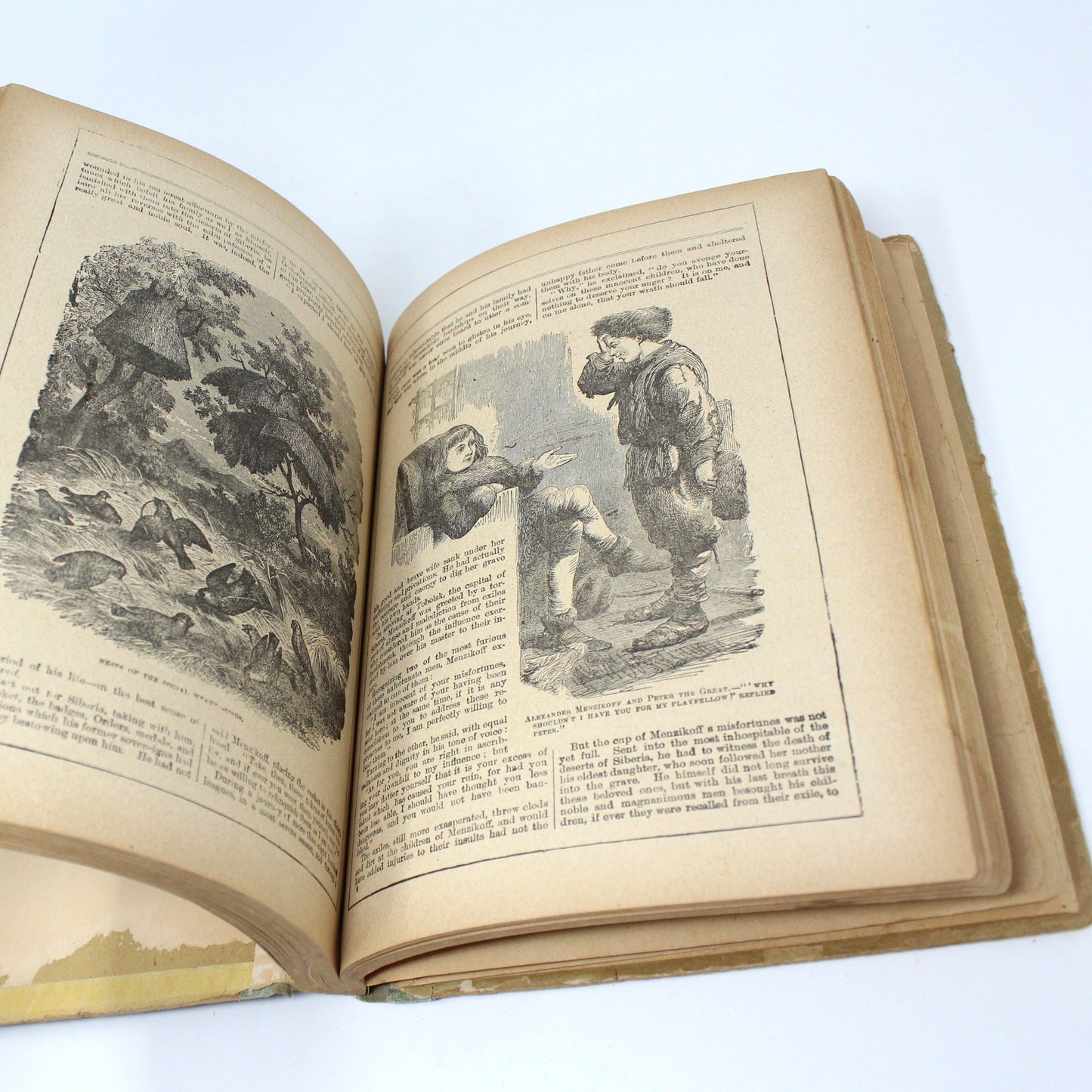 Children's Book, Antique, Chatter, De Wolfe Fiske & Co, 1891