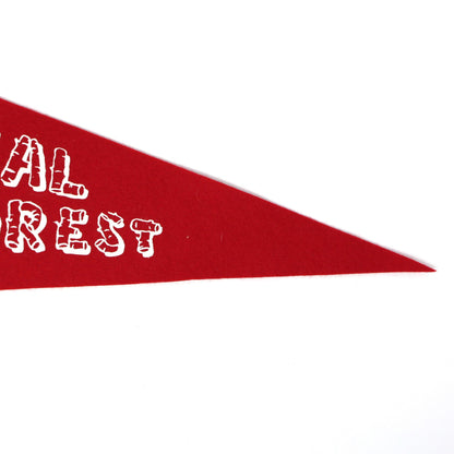 Pennant, Cardinal Forest Red & White Pennant Flag Collectible, Vintage 18"