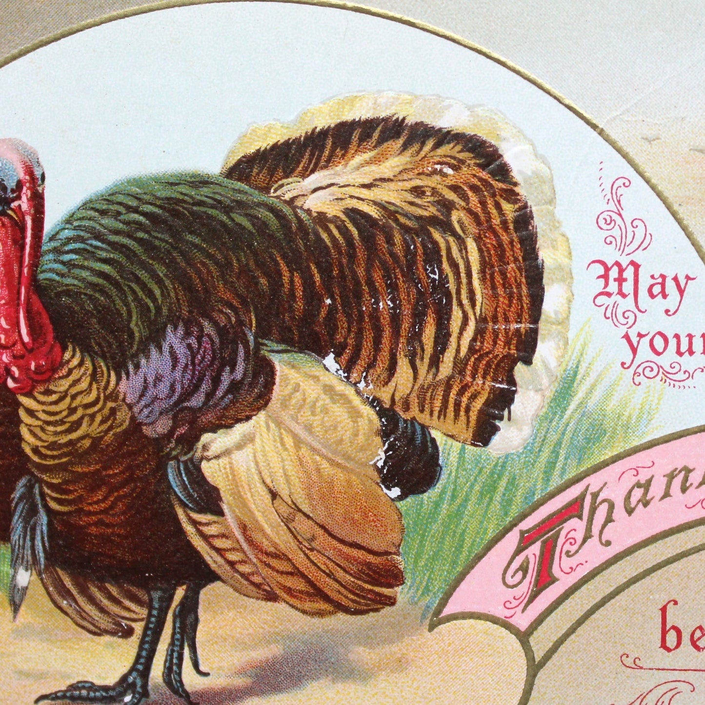 Postcards, Thanksgiving Card, Embossed & Gilded Turkey, May Your Thanksgiving Be Happy, Antique