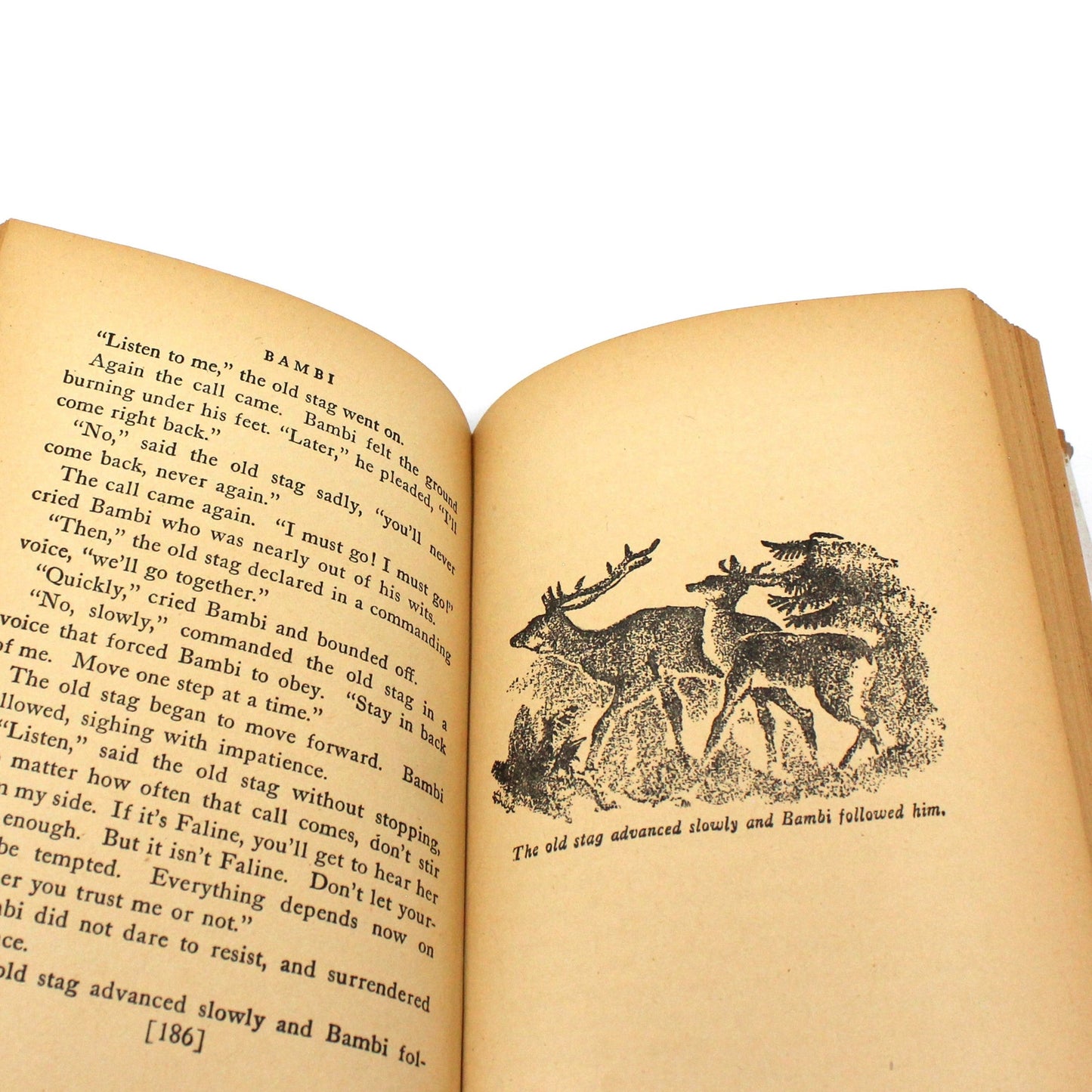 Book, Bambi, Felix Salten, Hardcover, Vintage 1929