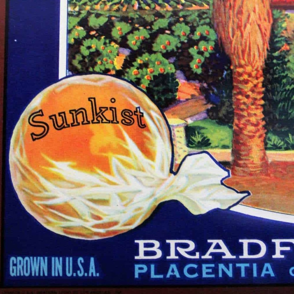 Hustler Brand California Bartletts Fruit Crate Label Postcard