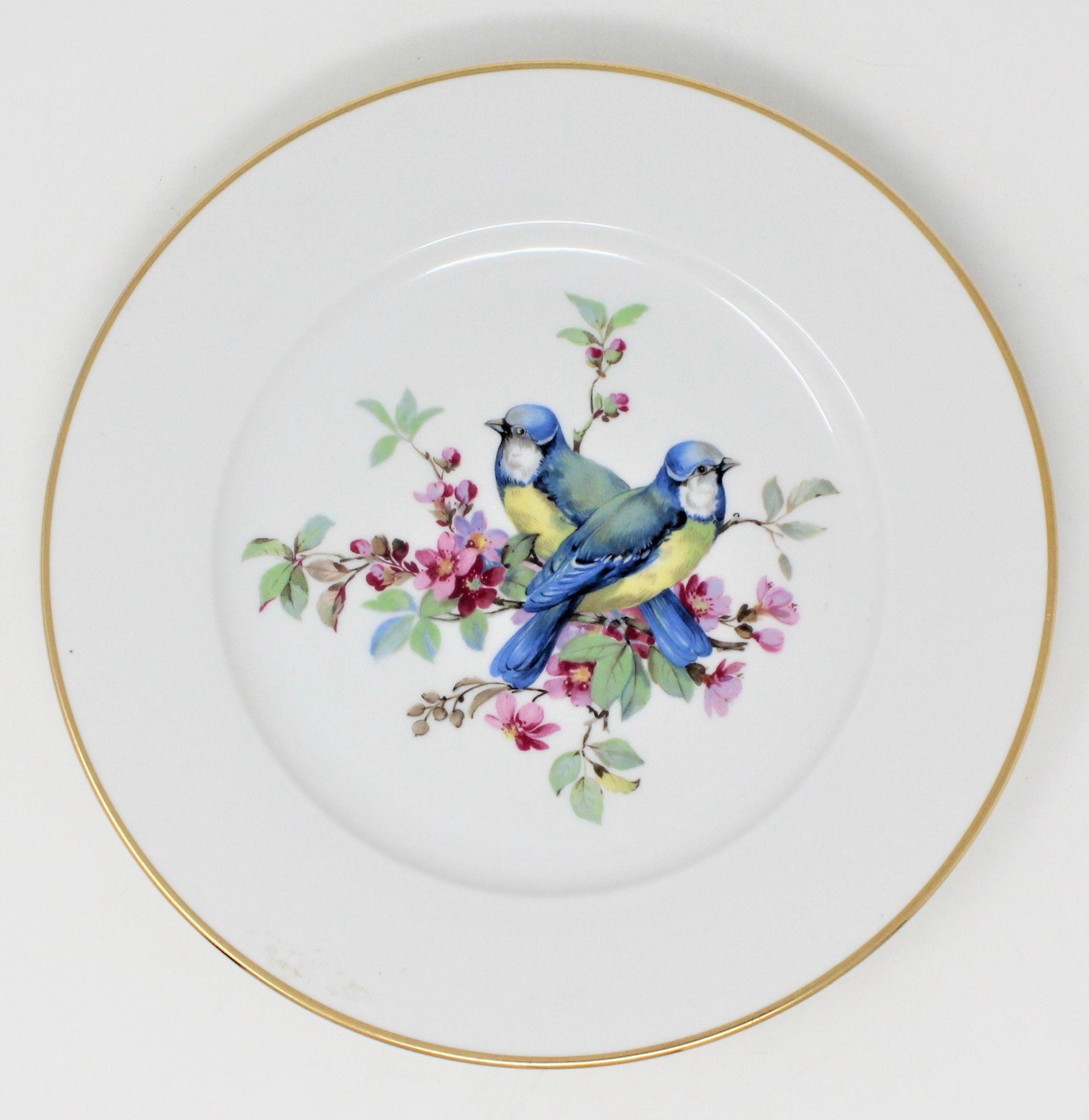 Set of newest 4 German vintage rare Bird plates