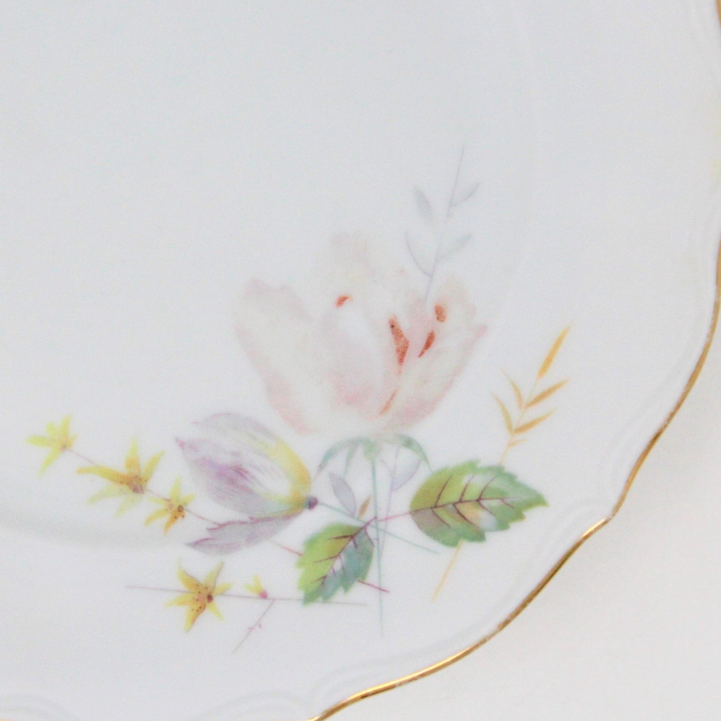 W. Floral, Fredericksburg, Trunk Vintage – Germany, Plate, Bavaria Decorative Antigo