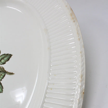 Serving Platter, Wedgwood of Etruria & Barlaston, Moss Rose, England, Vintage